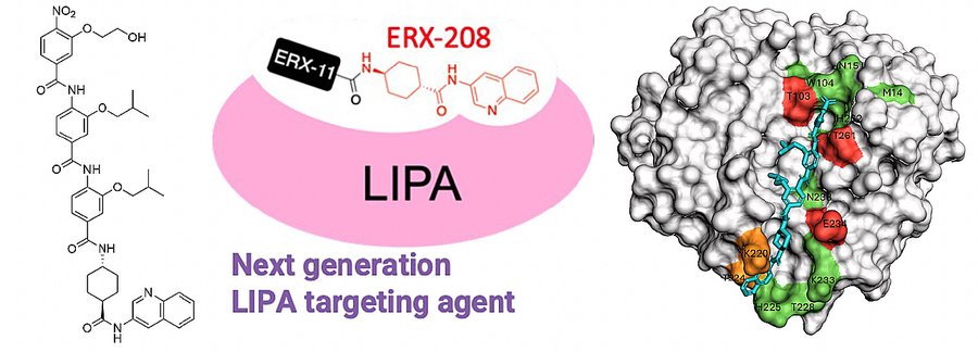 Talk figure: Mimicking Alpha-Helices for Inhibiting Protein-Protein Interactions
