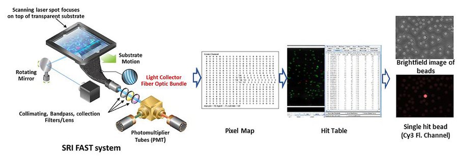 Talk figure: Mega-Throughput Screening of Large OBOC Non-Natural Peptide Libraries and the Discovery of Synthetic Intrinsically Disordered Protein Mimics