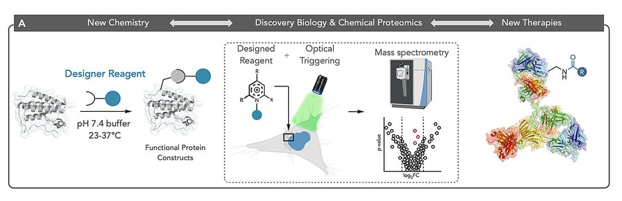Talk figure: Late-Stage Peptide and Protein Modification Chemistry