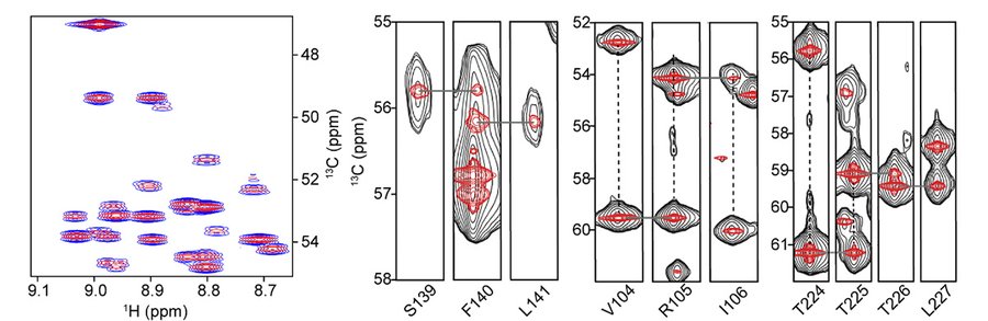 Talk figure: NUS Reconstruction of HNCA with Virtual Decoupling in SMILE